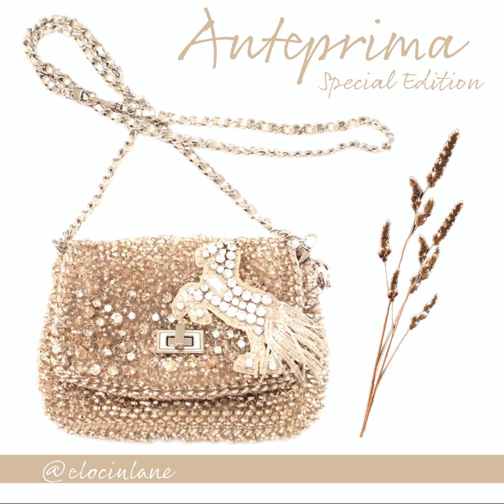 Anteprima Special Edition Mini Bag